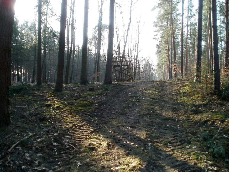 20120316Hochsitz_Hockenheim1