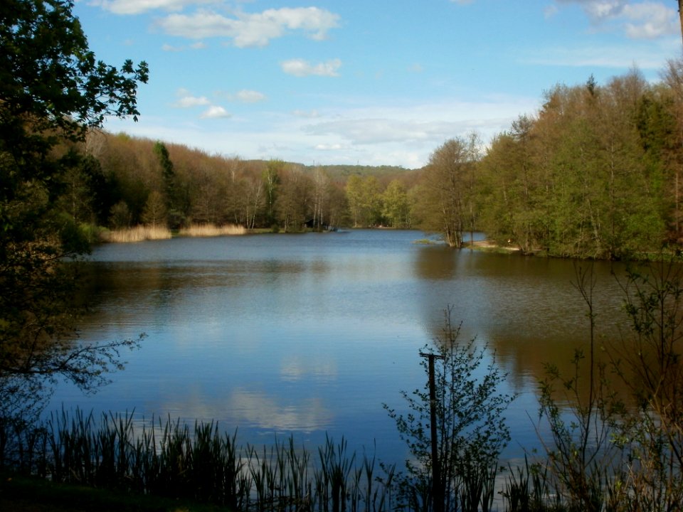 20120429Burbacher_Waldweiher10