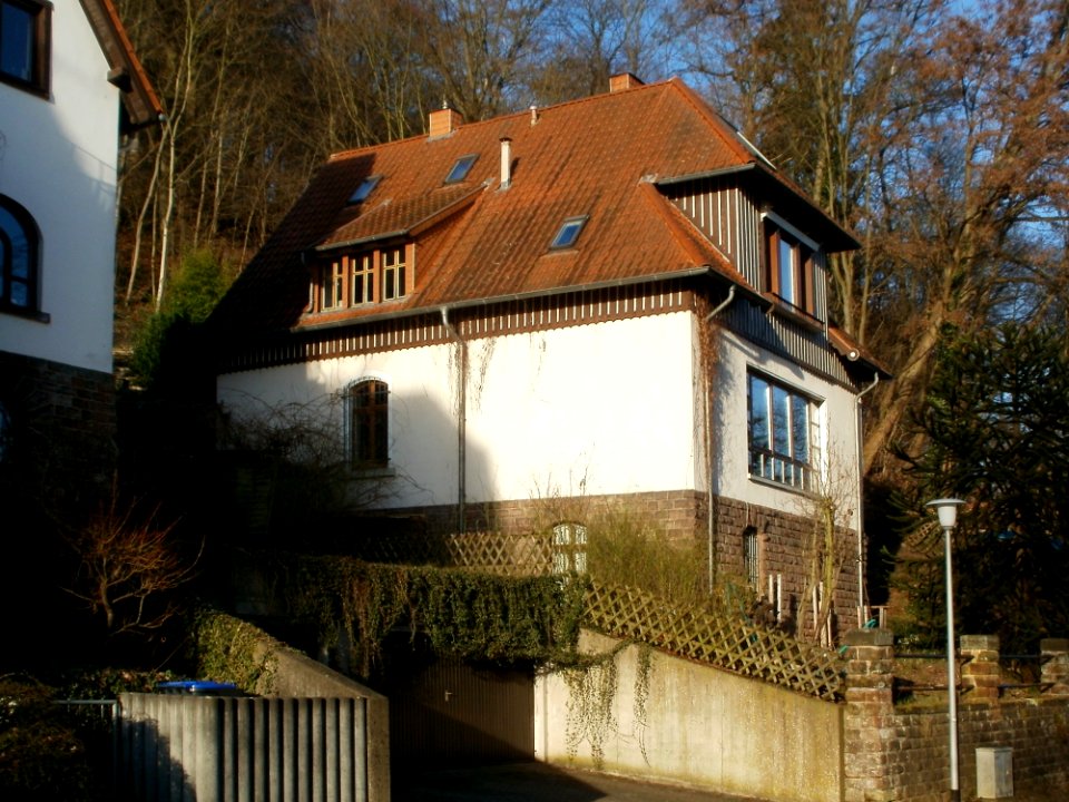 20120117Schenkelbergstr2_Sankt_Arnual1