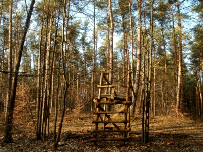 20120316Hochsitz_Hockenheim3