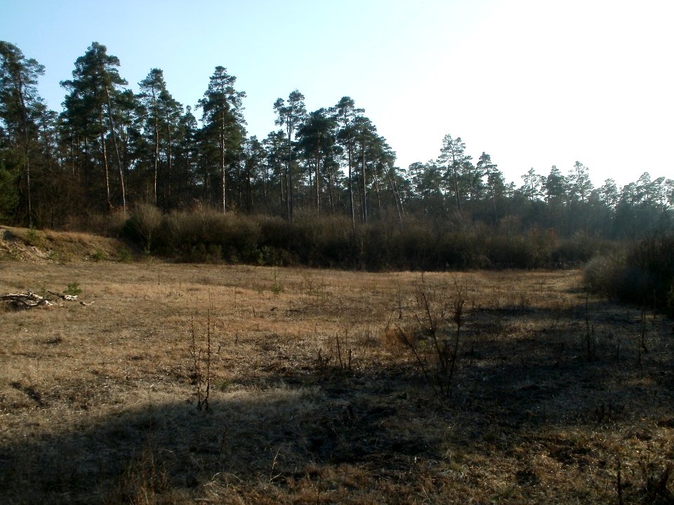 20120316Ostkurve1