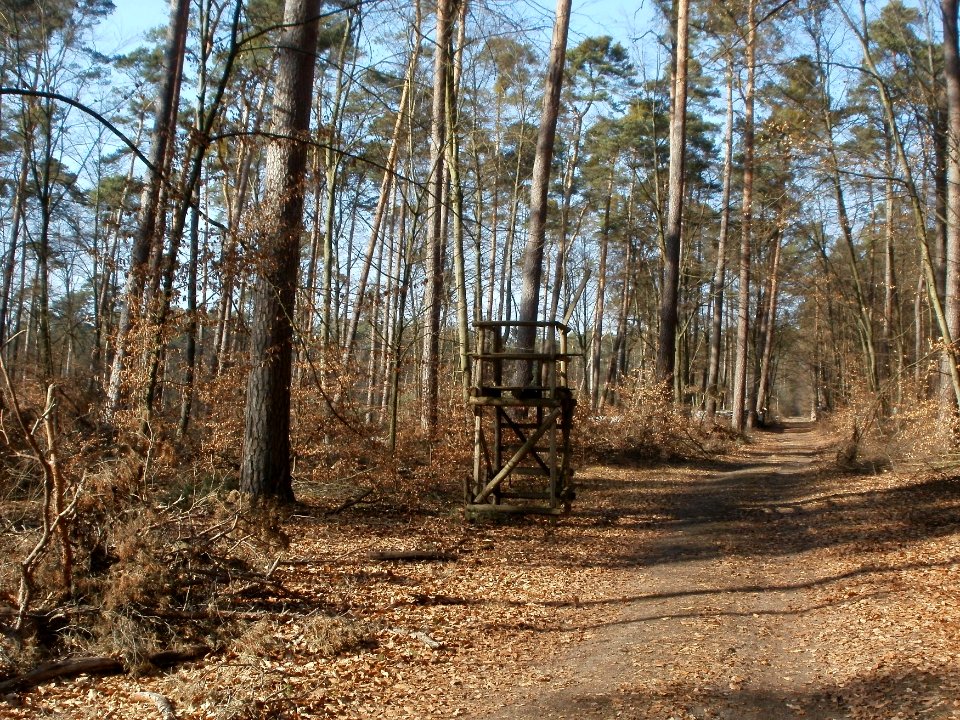 20120316Hochsitz_Hockenheimring