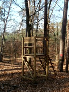 20120315Hoher_Stein6