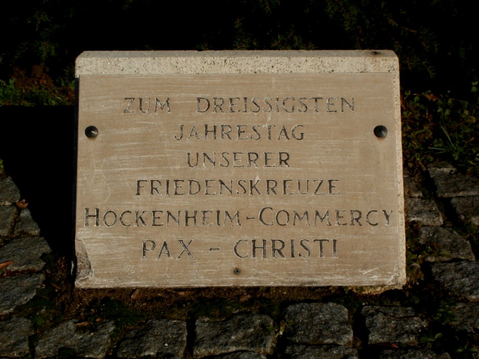 20120125Voelkerkreuz_Hockenheim11