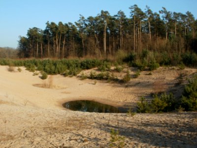 20120315Wasserloch_Hockenheimring1