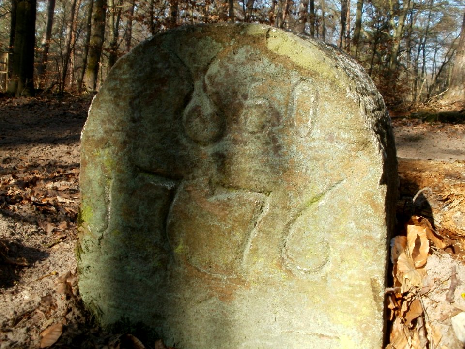 20120315Grenzstein_Hoher_Stein15