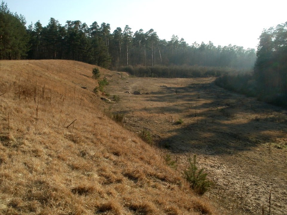 20120315Ostkurve