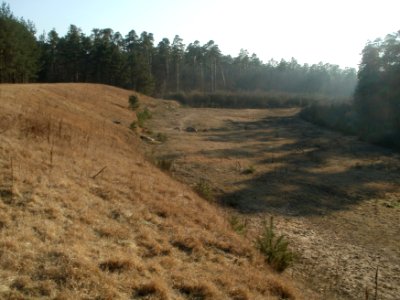 20120315Ostkurve