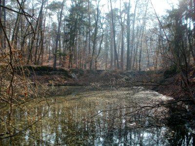 20120315Wasserloch_Hoher_Stein1