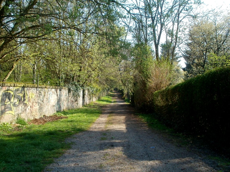 20120413Am_Bruchhuebel_Saarbruecken1