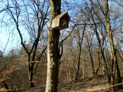 20120316Duene_Wasserloch_Hockenheim10