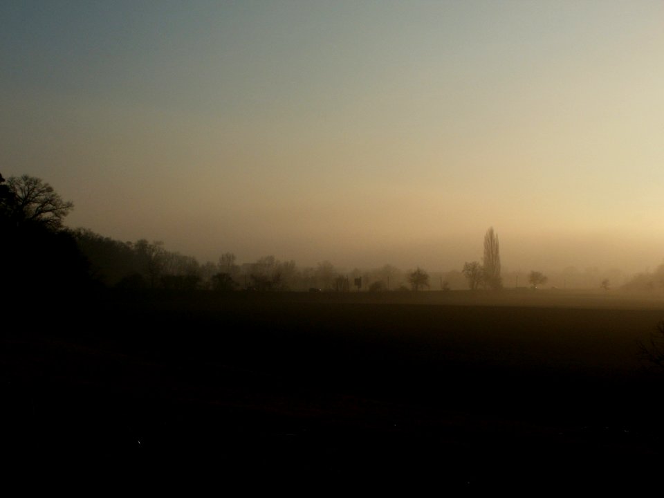 20120125Nebel_Hockenheim02