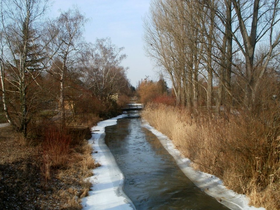 20120208Kraichbach_Hockenheim6