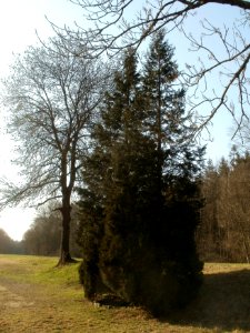20120316Jim_Clark1