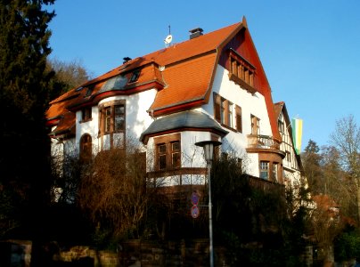 20120117Schenkelbergstr12_Sankt_Arnual1