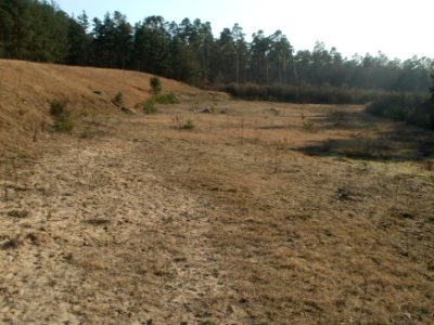 20120316Ostkurve3