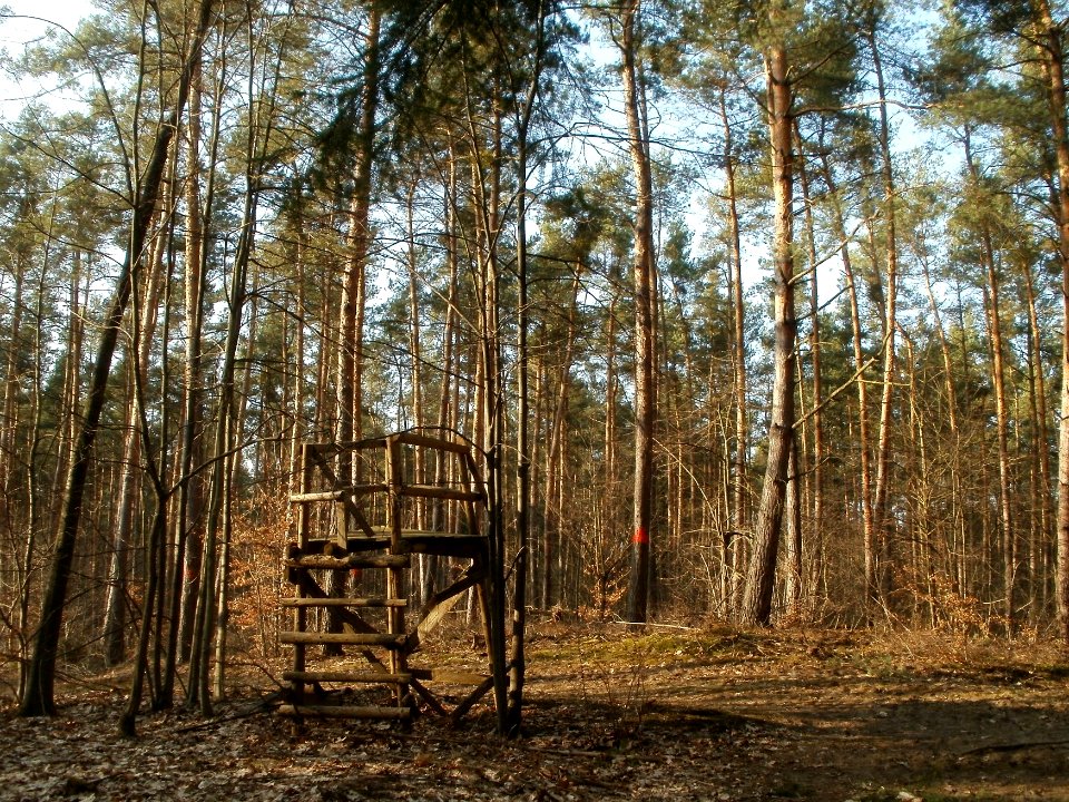 20120316Hochsitz_Hockenheim2