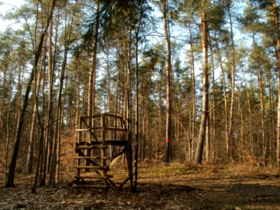 20120316Hochsitz_Hockenheim2