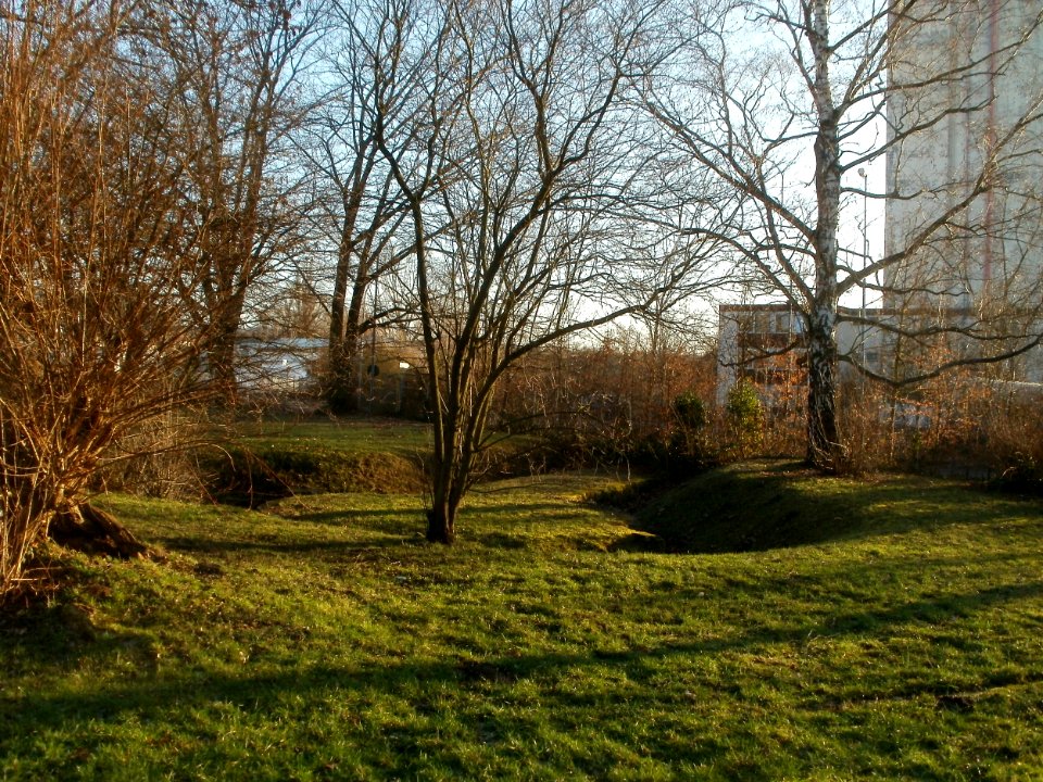 20120115Roemerkastell_Saarbrucken3