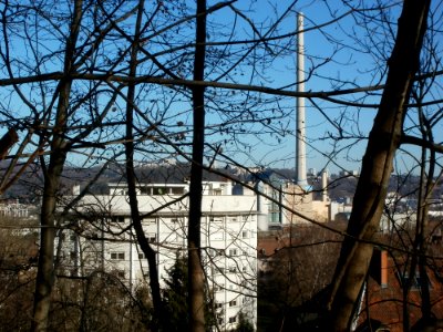 20120116Stockenbruch10_St_Arnual2