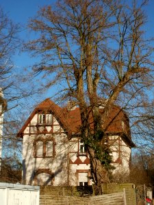 20120116Stockenbruch8_St_Arnual1