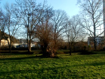 20120115Roemerkastell_Saarbrucken4