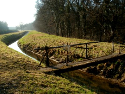 20120315Hardtgraben4