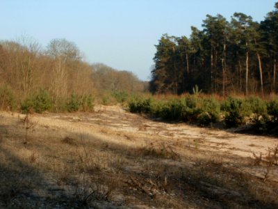 20120315Wasserloch_Hockenheimring5