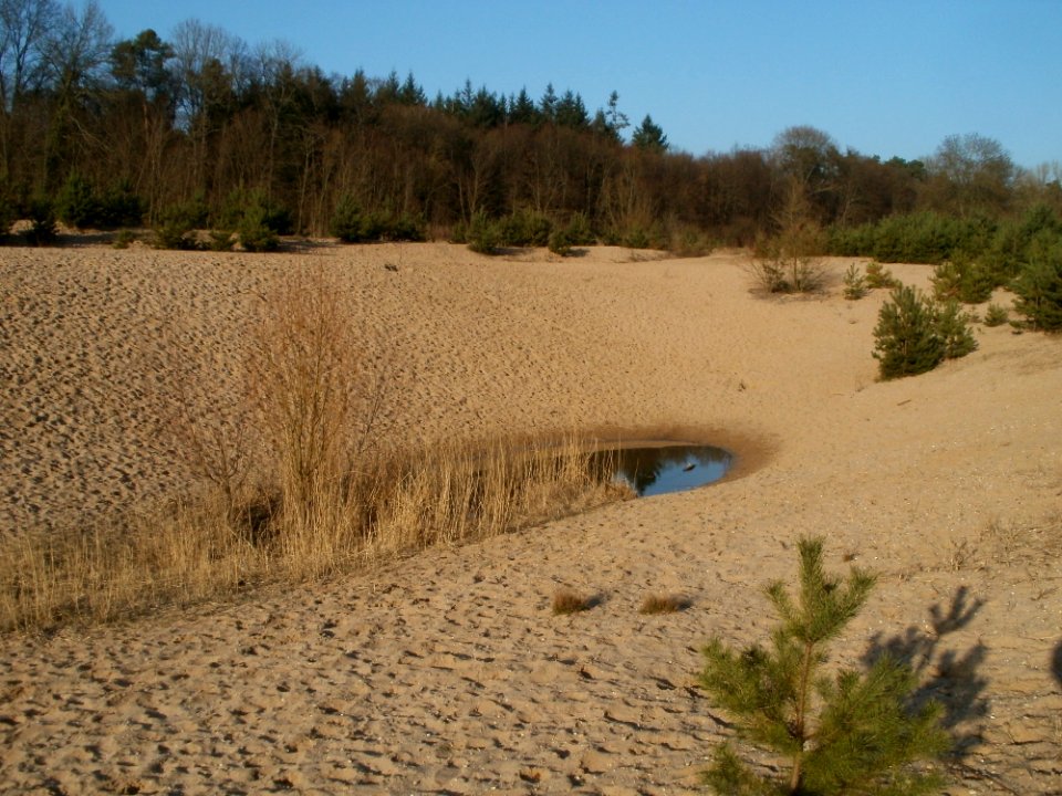 20120315Wasserloch_Hockenheimring2