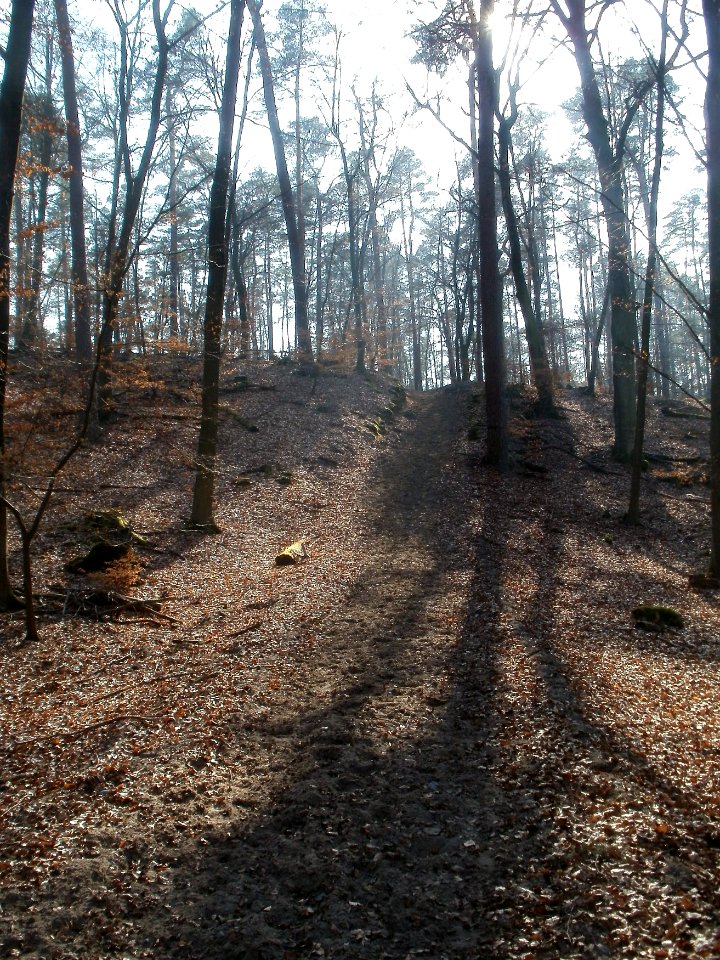20120315Hoher_Stein1