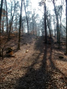 20120315Hoher_Stein1