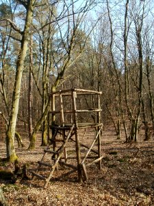 20120316Duene_Wasserloch_Hockenheim03