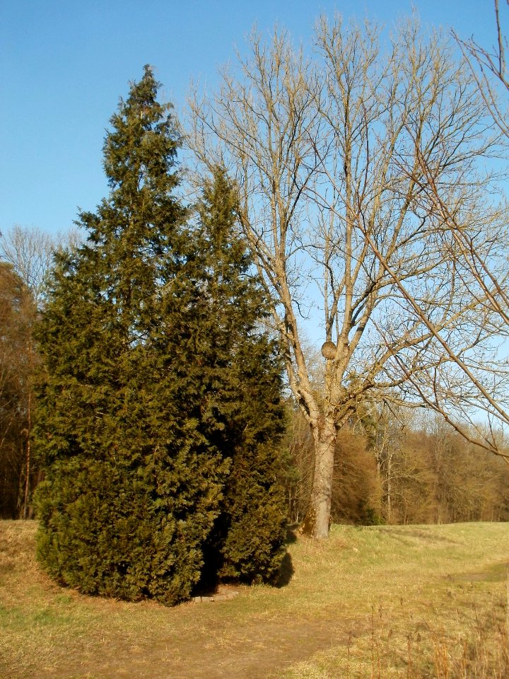 20120316Jim_Clark2