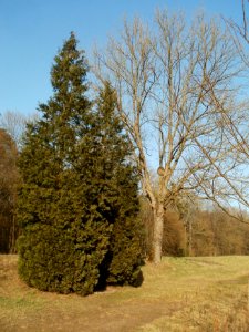 20120316Jim_Clark2