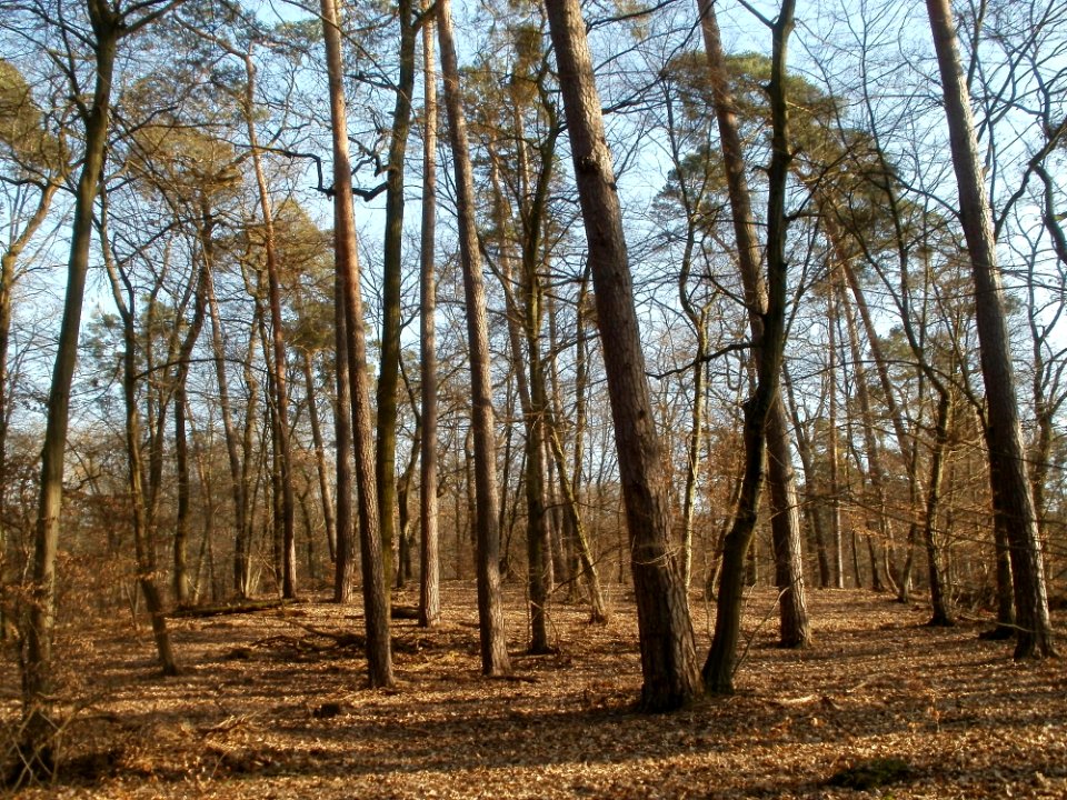 20120316Ostkurve5