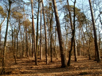 20120316Ostkurve5