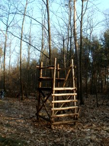 20120316Hochsitz_Hockenheim5