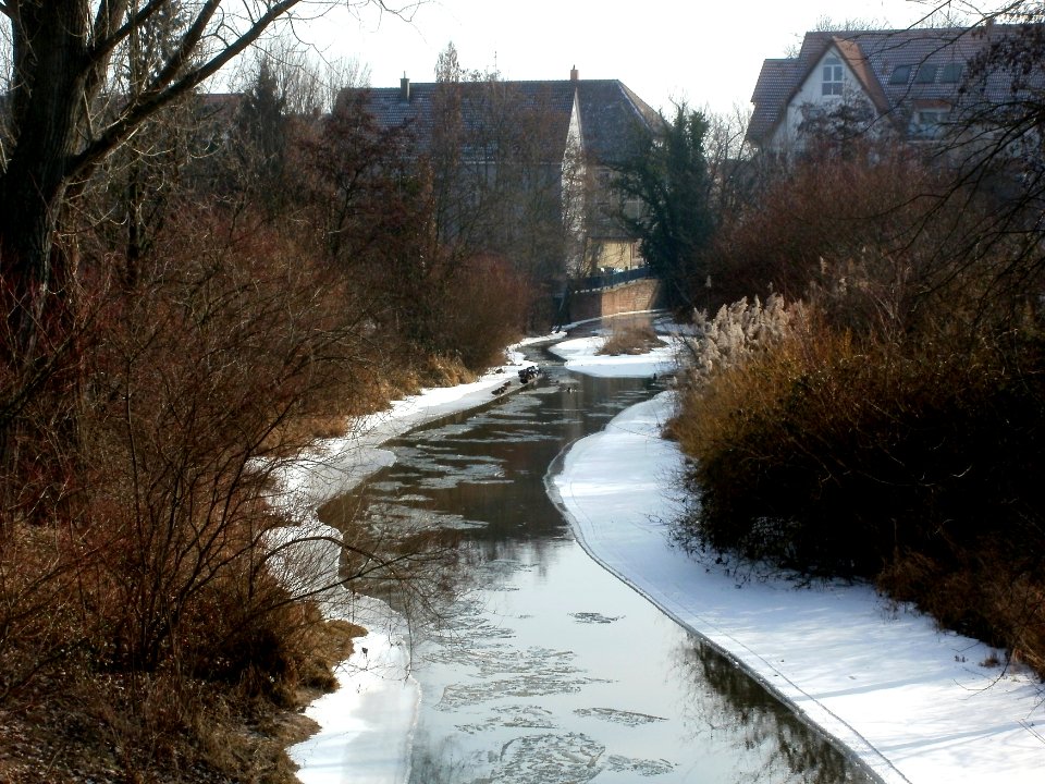 20120208Kraichbach_Hockenheim5