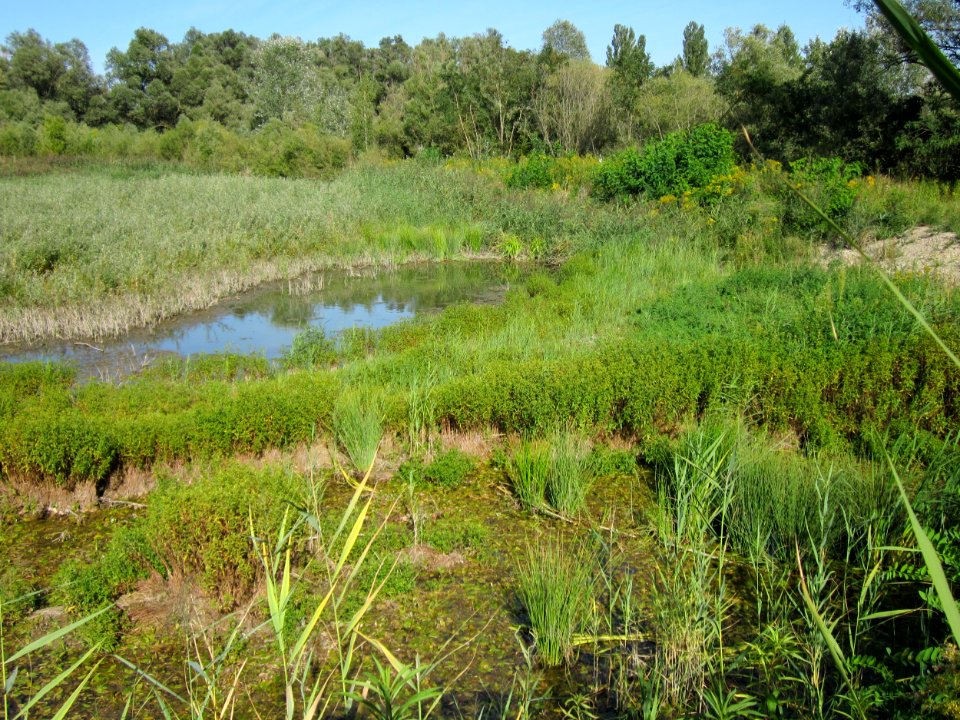 20120906Kieswerk_Krieger3