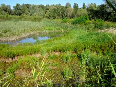 20120906Kieswerk_Krieger3