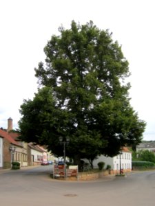 20120825Linde_Kirkel1