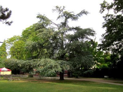 20120828Zeder_Staden1