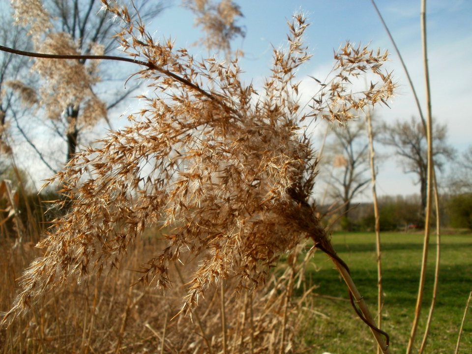 20120402Beim_Herrenteich6