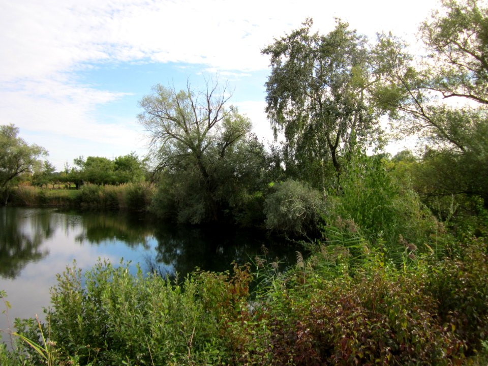 20120920Baggersee_Hockenheim1