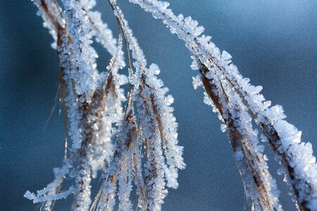 Nature frozen season