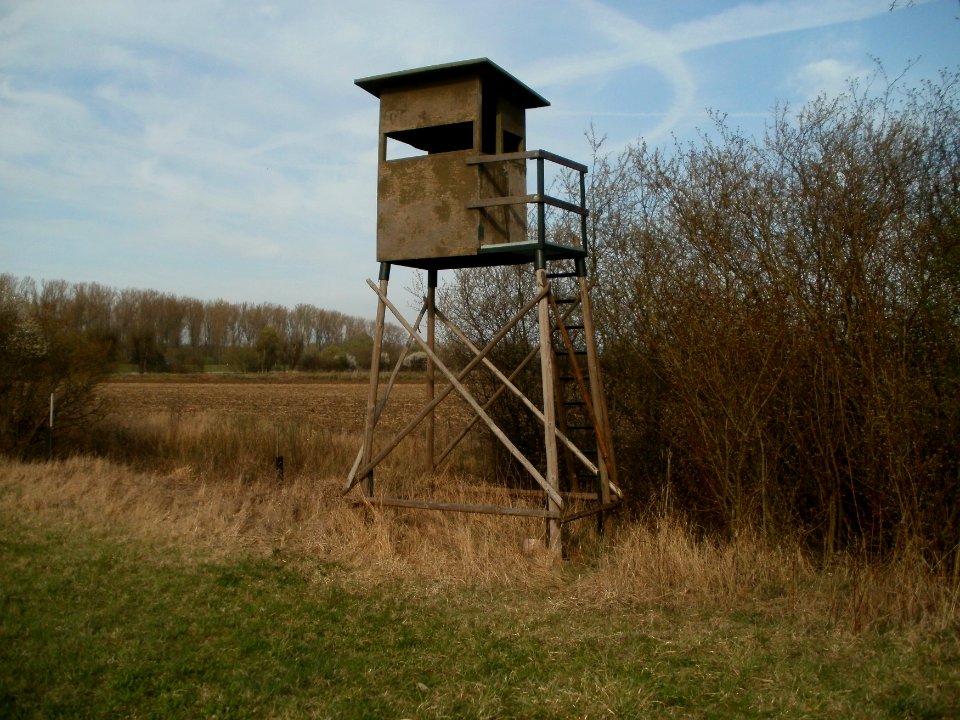 20120402Hochsitz_Hockenheimer_Rheinbogen2