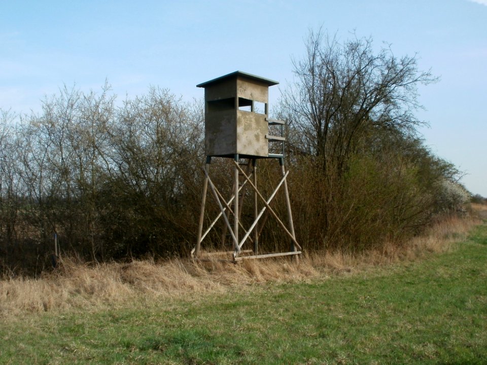 20120402Hochsitz_Hockenheimer_Rheinbogen1
