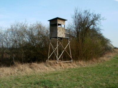 20120402Hochsitz_Hockenheimer_Rheinbogen1