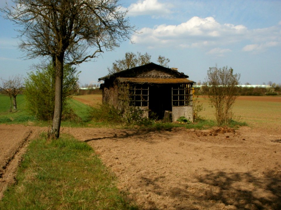 20120403Streuobstwiese_Oftersheim19