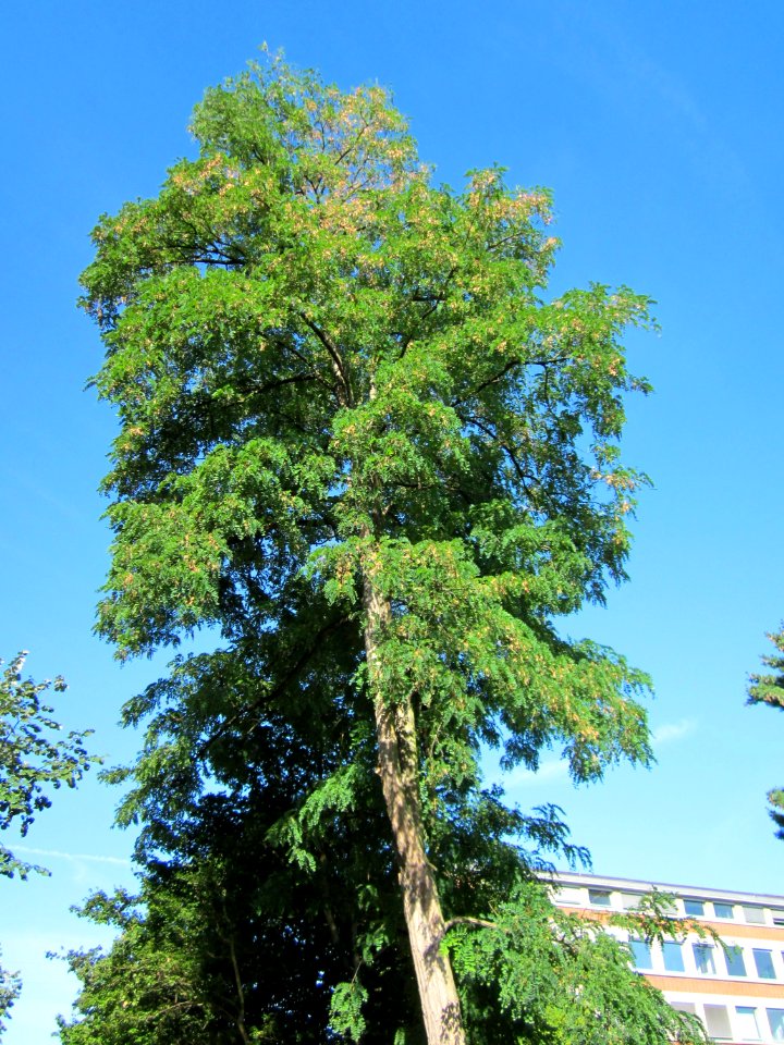 20120827Hohenzollernstr_Saarbruecken19